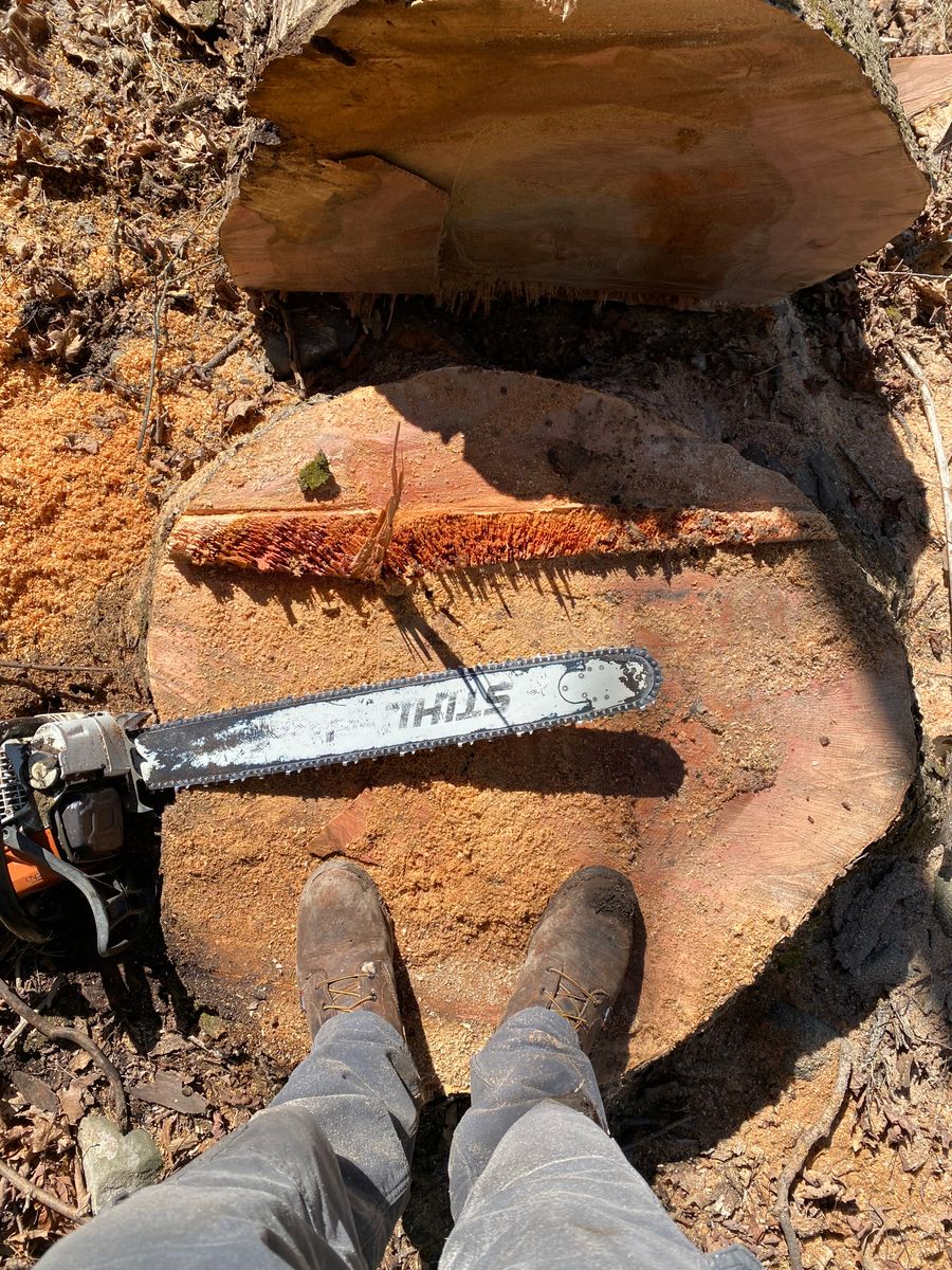 Tree Removal for Sterlings Tree Removal in Cobleskill, New York