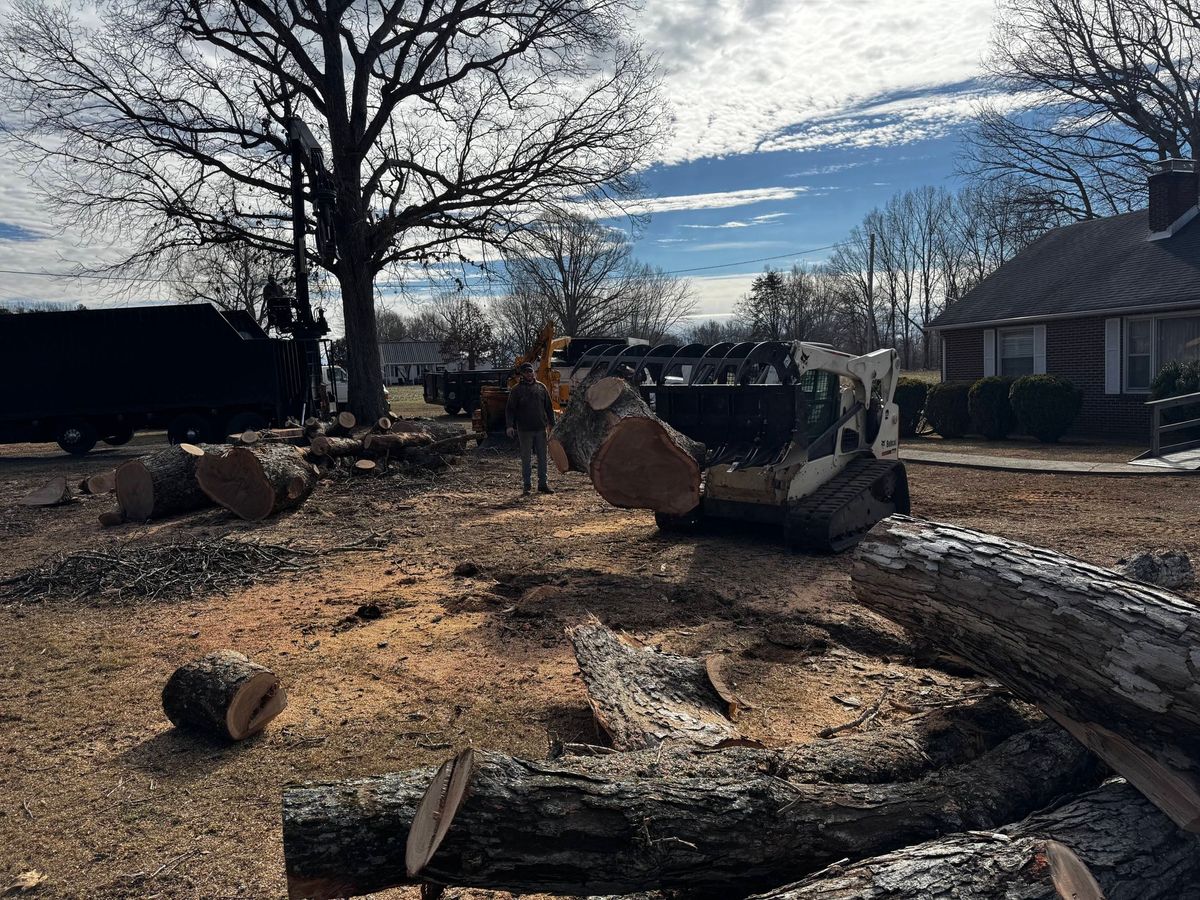 Tree Removal for Hamlett Tree Service LLC in Clover, VA