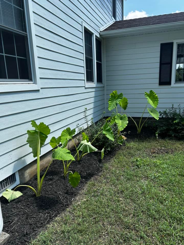 Landscape Design for Morris Contracting in Leonardtown, MD