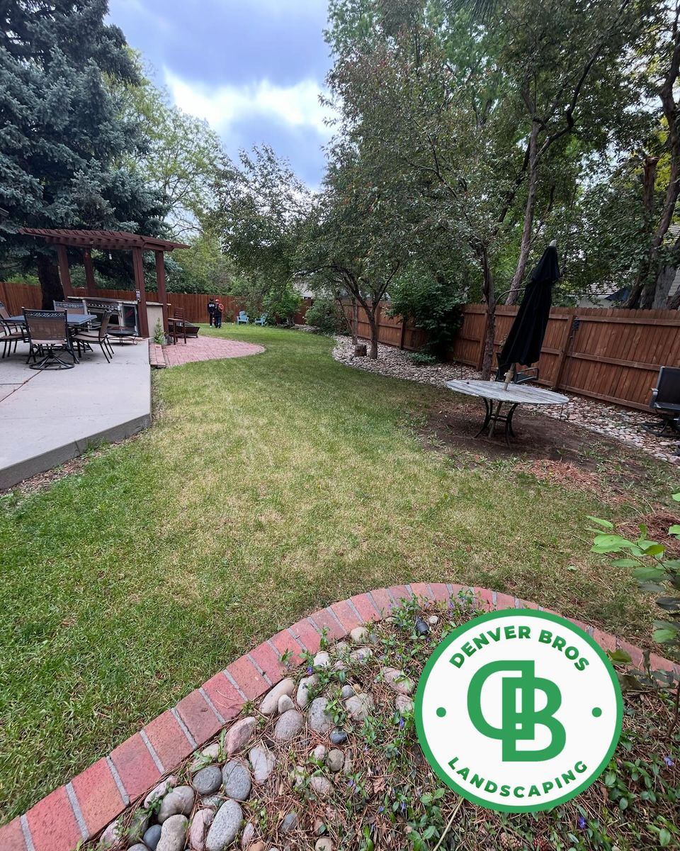 Shrub, Bush & Tree Trimming for Denver Bros Lawn Control in Denver, CO