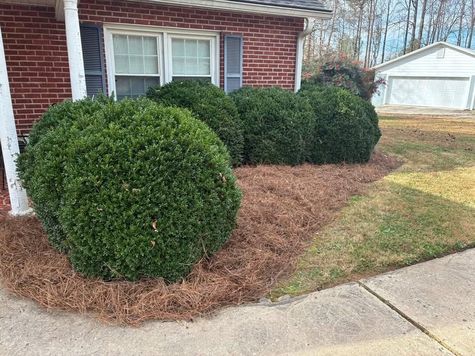 Landscape Design for Palmetto State Landscaping in Gaffney, SC