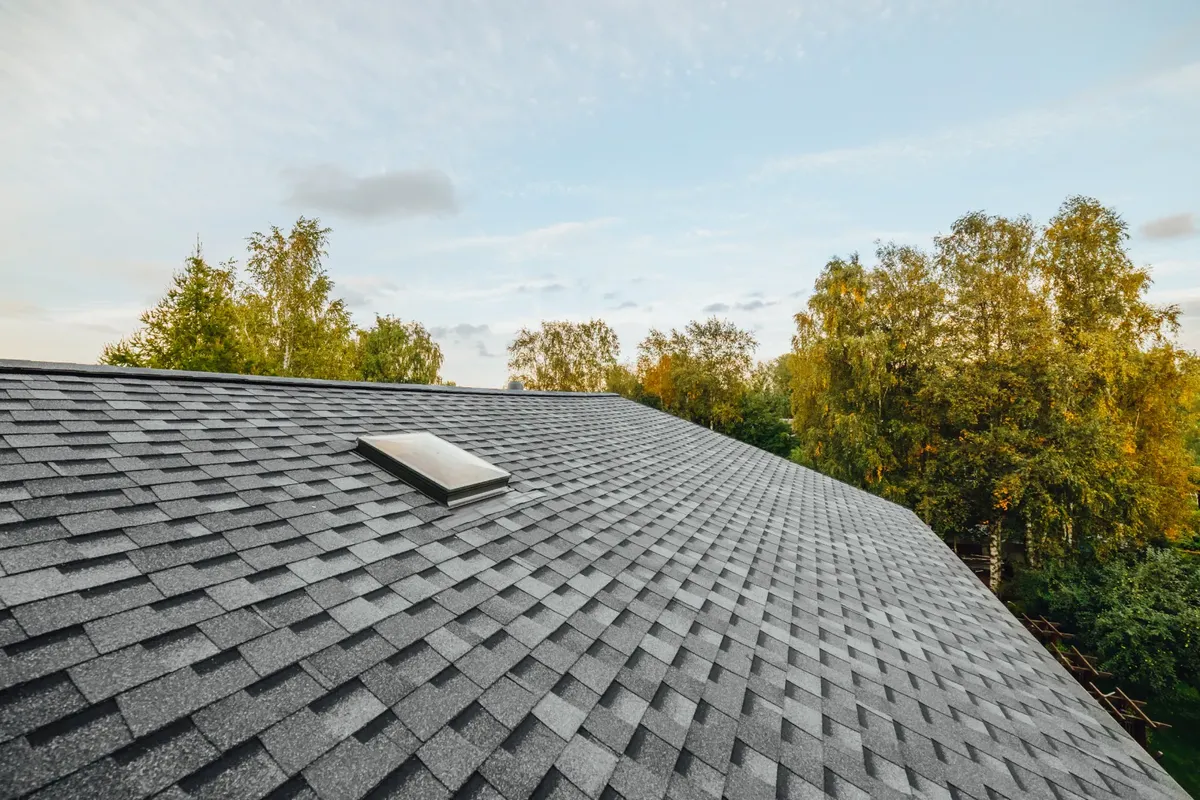 Shingle Roofing for Triumph Inc - Repair & Maintenance in O'Connor - Parkview, ON