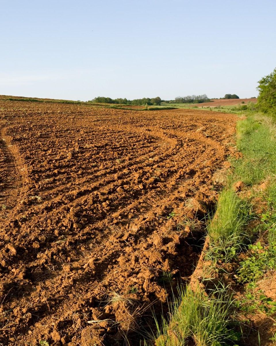 Land Clearing for TriStar Land Clearing & Mulching in Franklin, TN