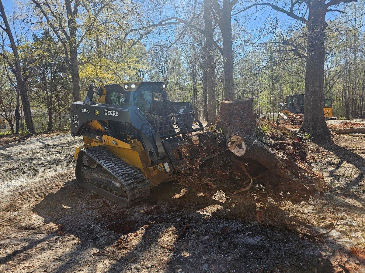 Tree Removal for O'Connor Clearing and Hauling LLC in Anderson County, SC