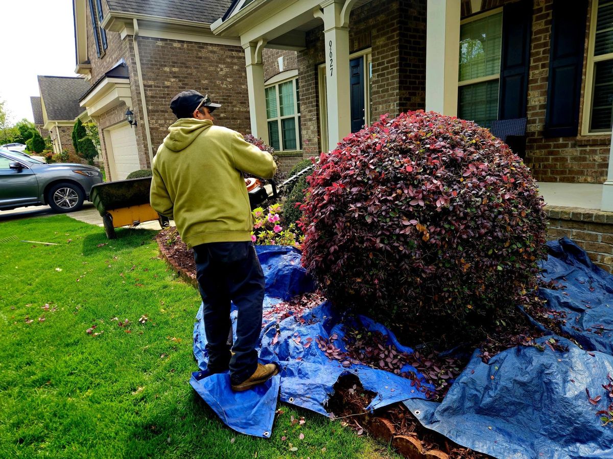 Landscaping for Surprising Odyssey in Gibsonville, NC