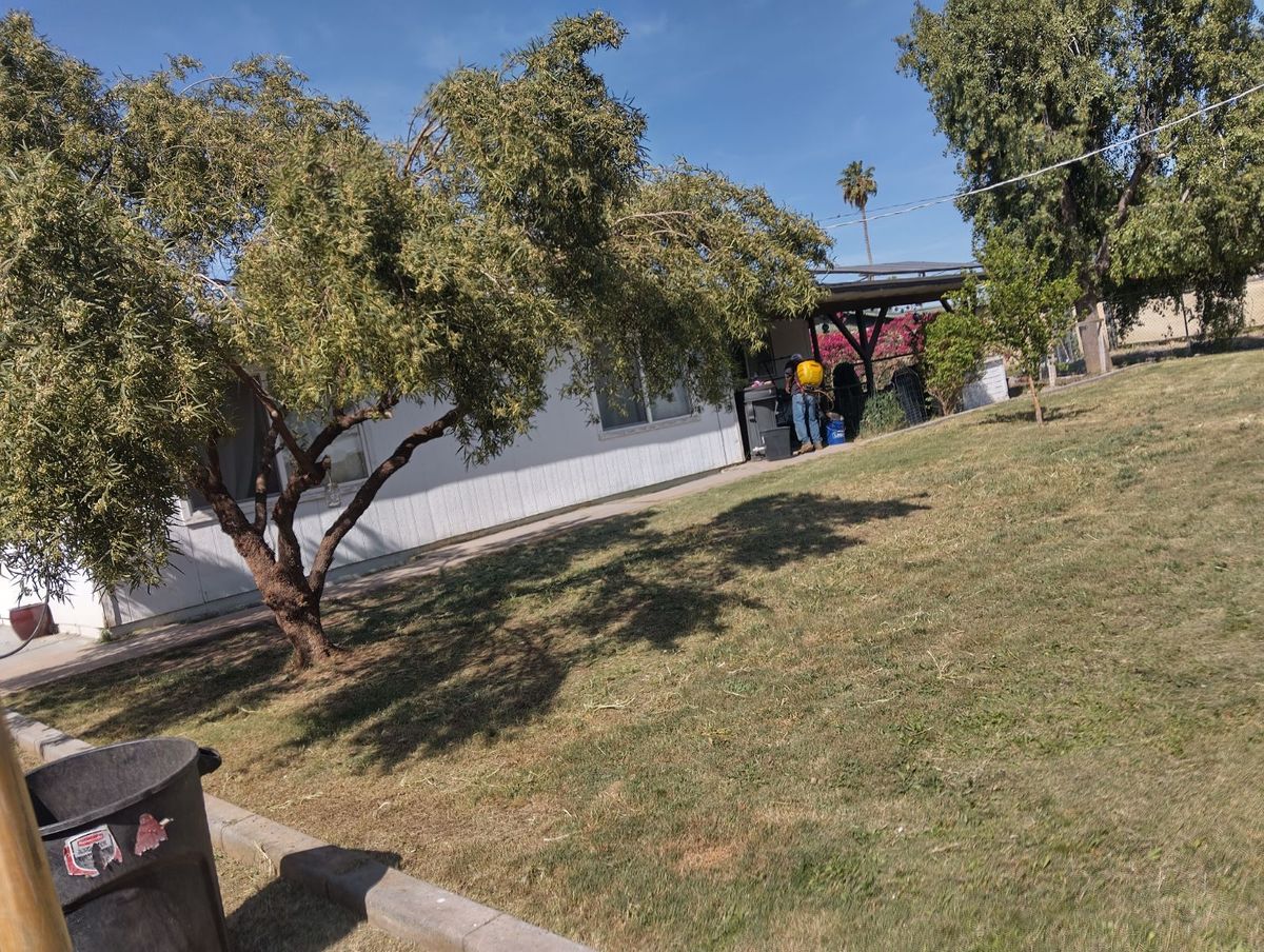 Mowing for Family Landscaping in Phoenix, AZ