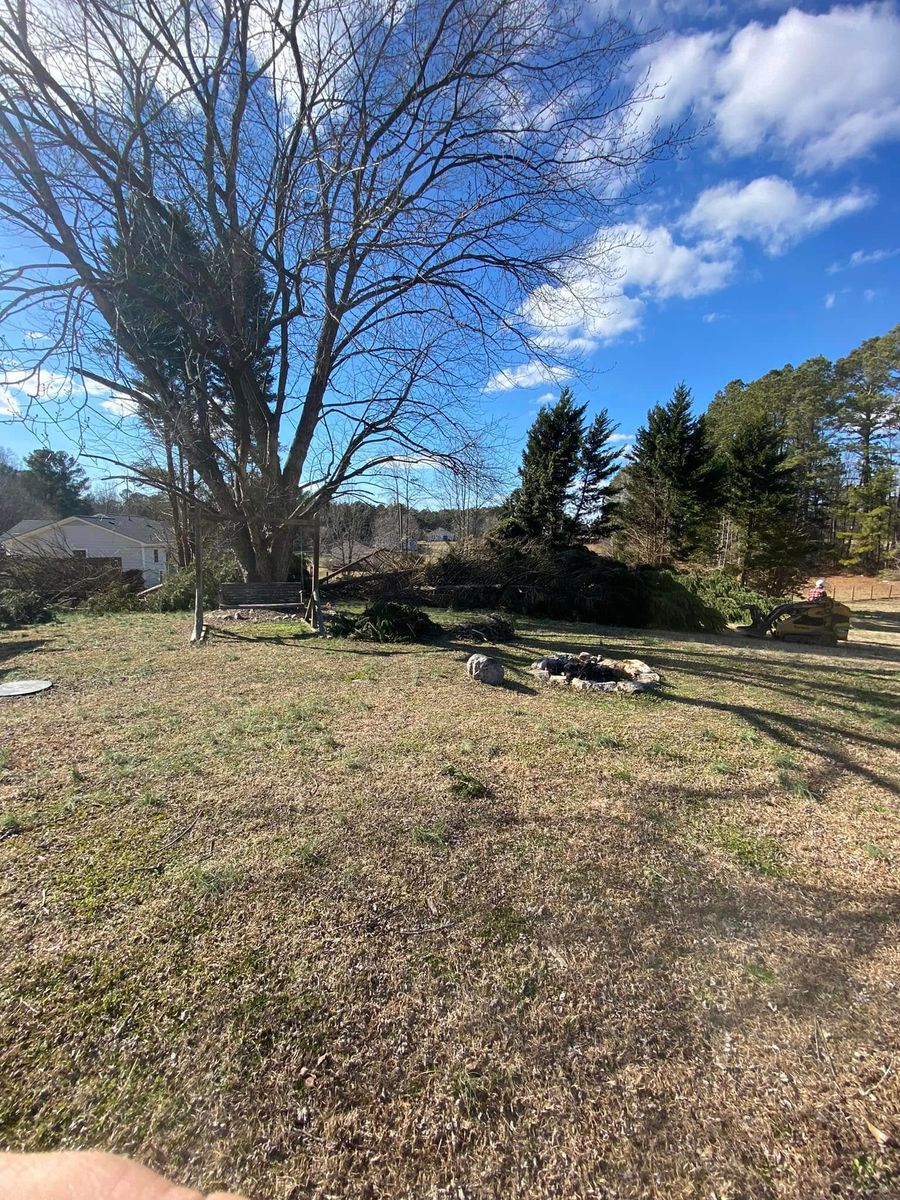 Tree Trimming for MTJ Tree Removal LLC in Zebulon, NC