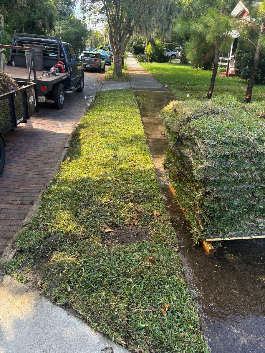 Landscape Design for Gulf Bay Sod in Clearwater, FL