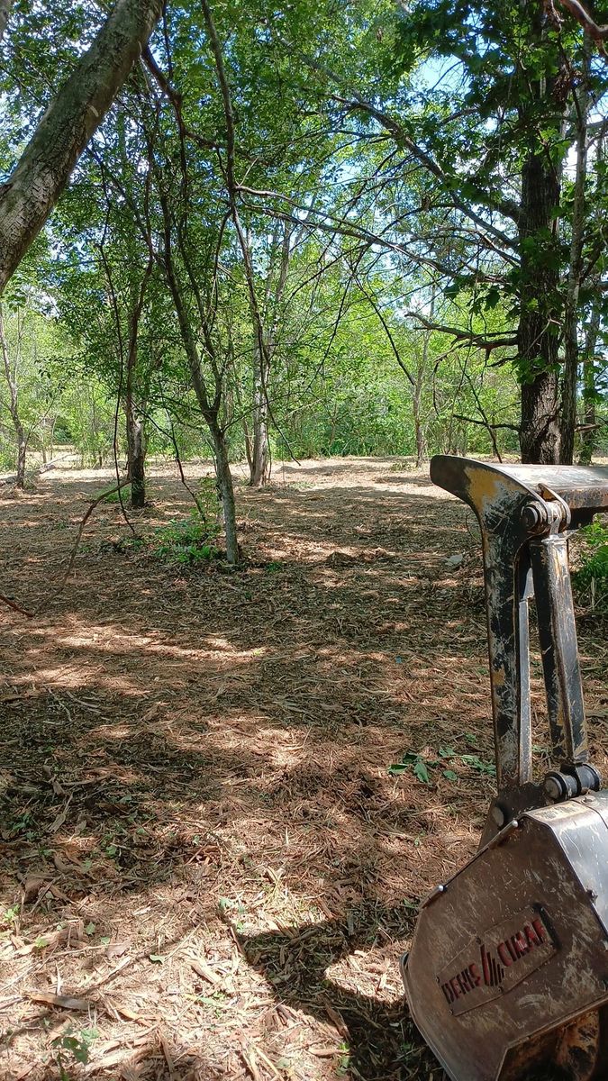 Land Clearing for Willing Trucking & Excavating in Evansville, WI