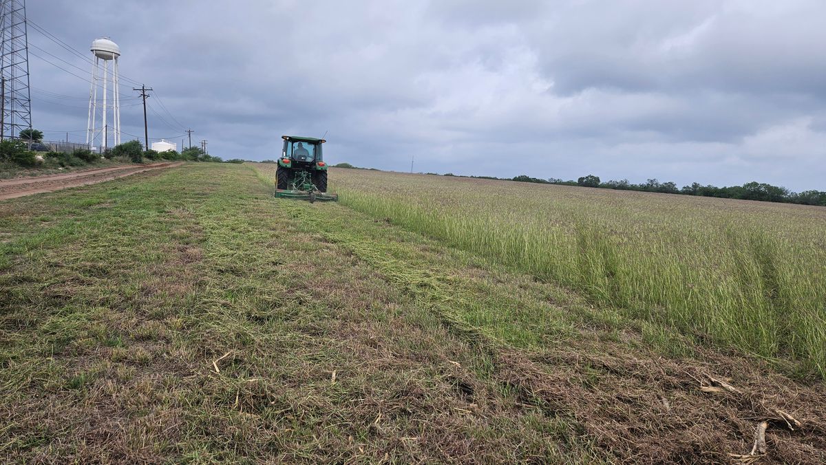 Tractor Mowing for Hernandez Land Clearing Services in Alice, TX