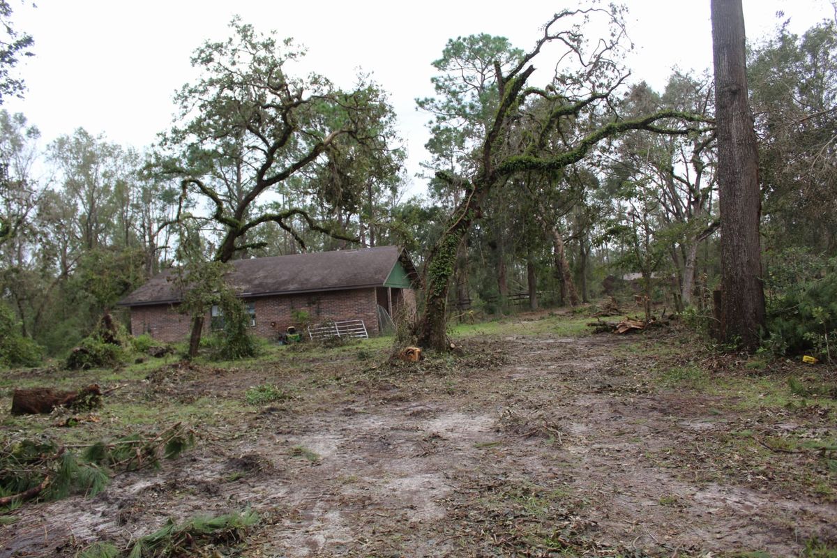 Hurricane Disaster Relief for American Tree Masters in Alvin, TX