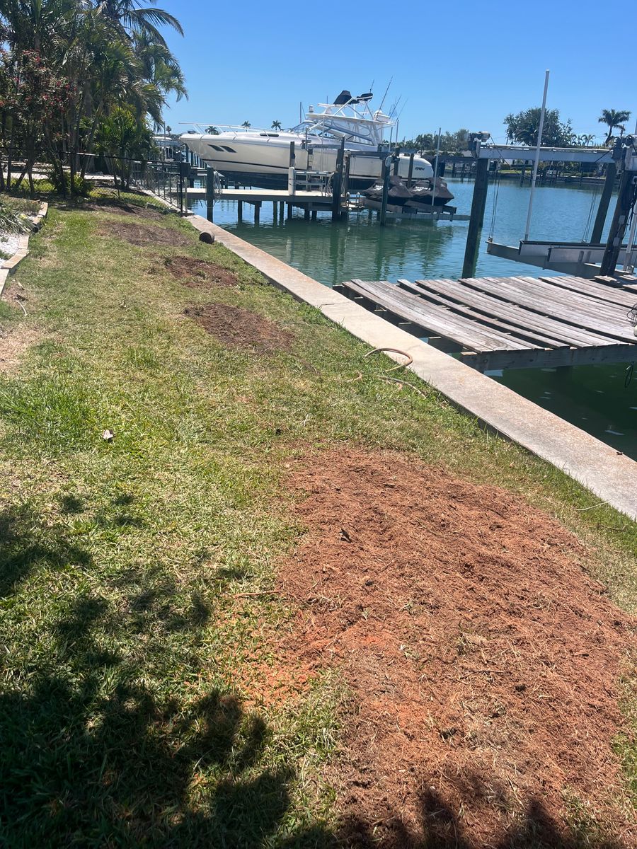 Stump Removal for KB’s Stump Removal in Seminole, FL
