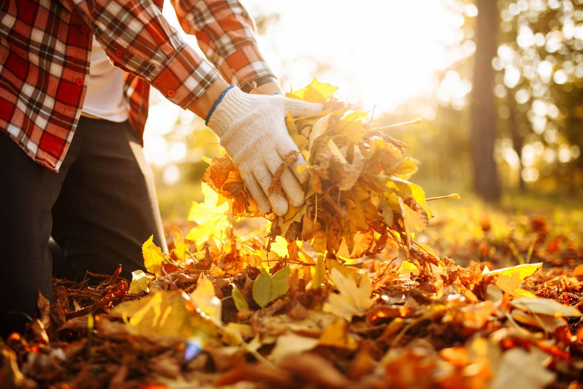 Fall Clean Up for Sunshine's Dreamscapes in Greer, SC