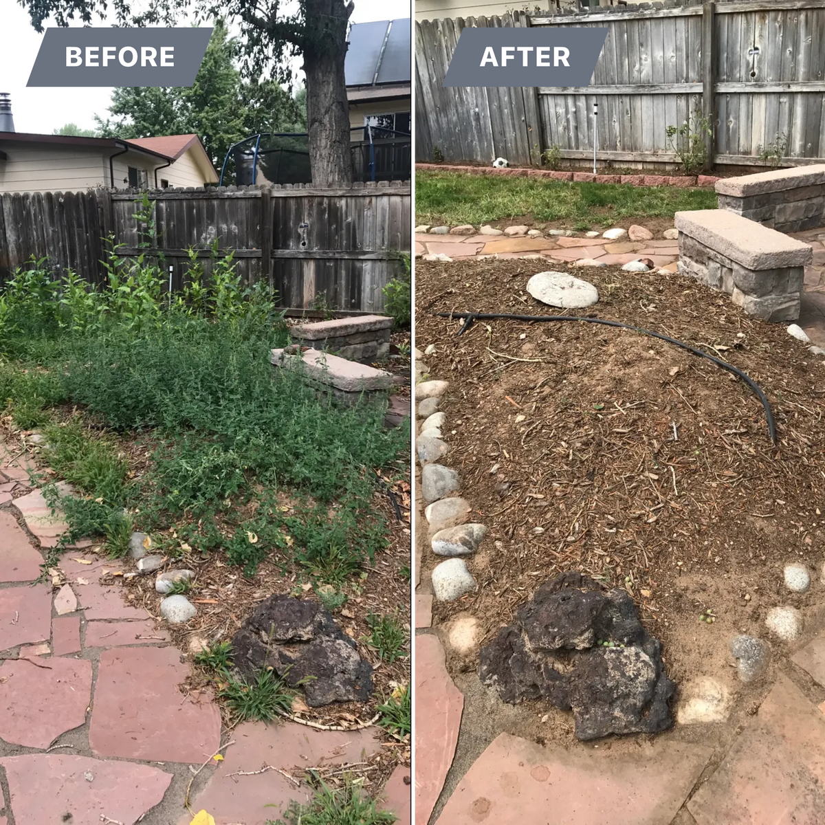 Seasonal Clean-Up Services for Rock Masters Inc. in Evans, CO