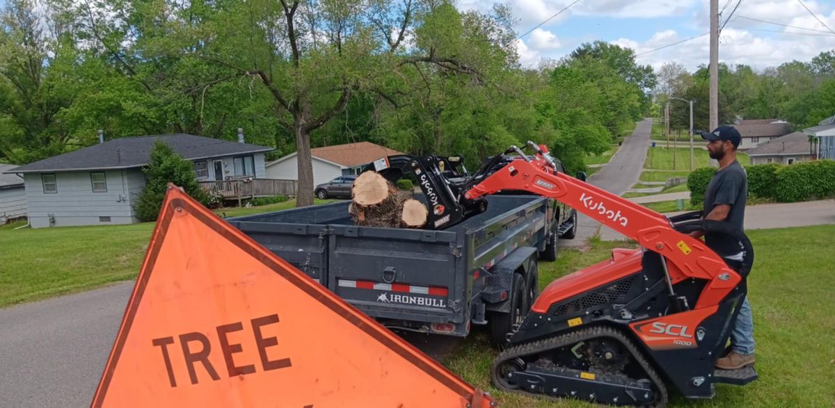 Tree Trimming for Lawn Ranger Yard And Tree Service LLC in Ottumwa, IA