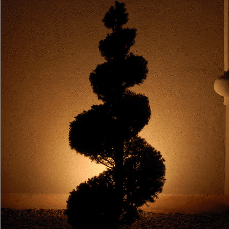 Landscape Installation for Atlas Land Design in Creekside Park, TX