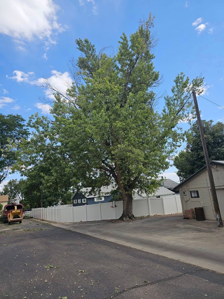 Concrete for Langston Tree & Landscape in Canon City, CO