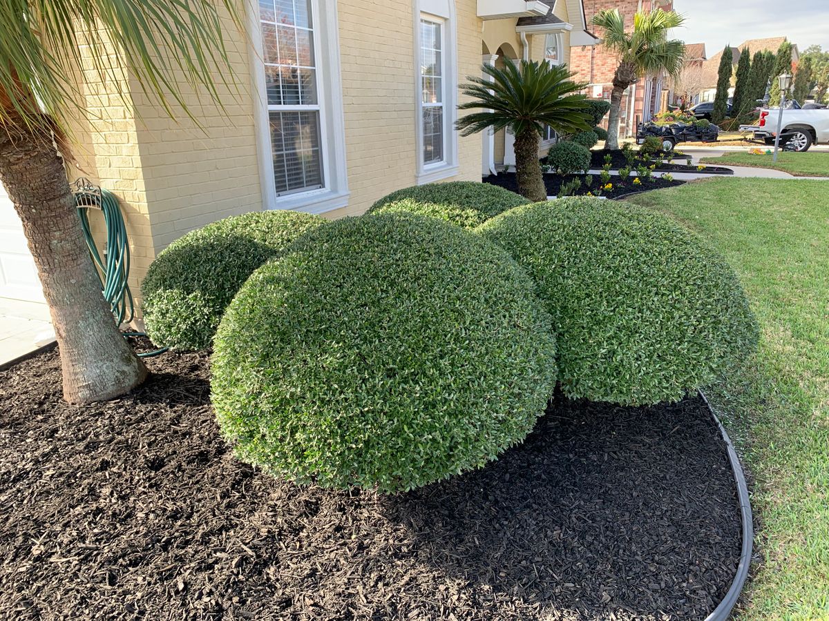 Shrub Trimming for Jay C’s Touch Landscaping & Pressure Washing Services LLC in Marrero, LA