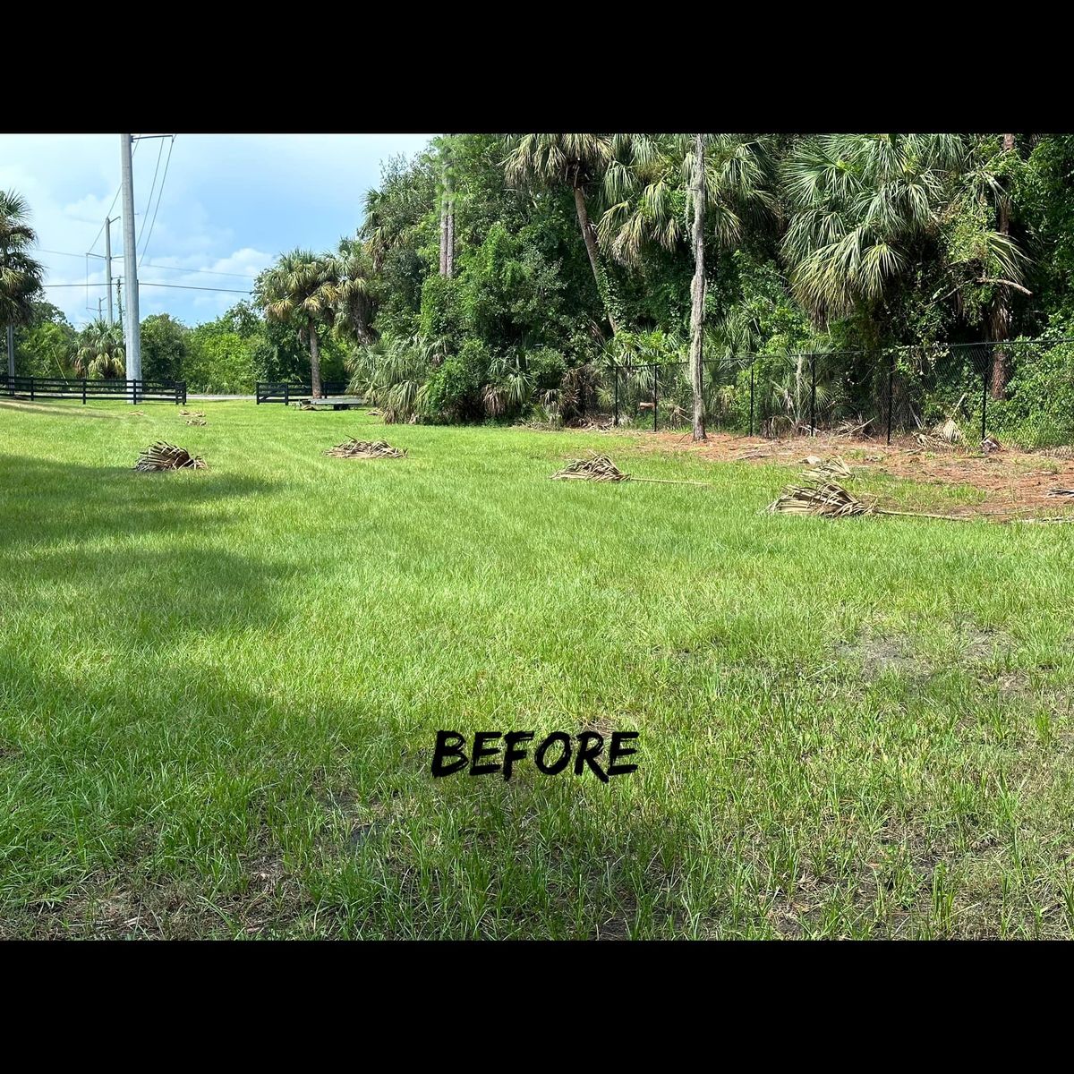 Debris Removal for Junk Heroes in Orlando, FL