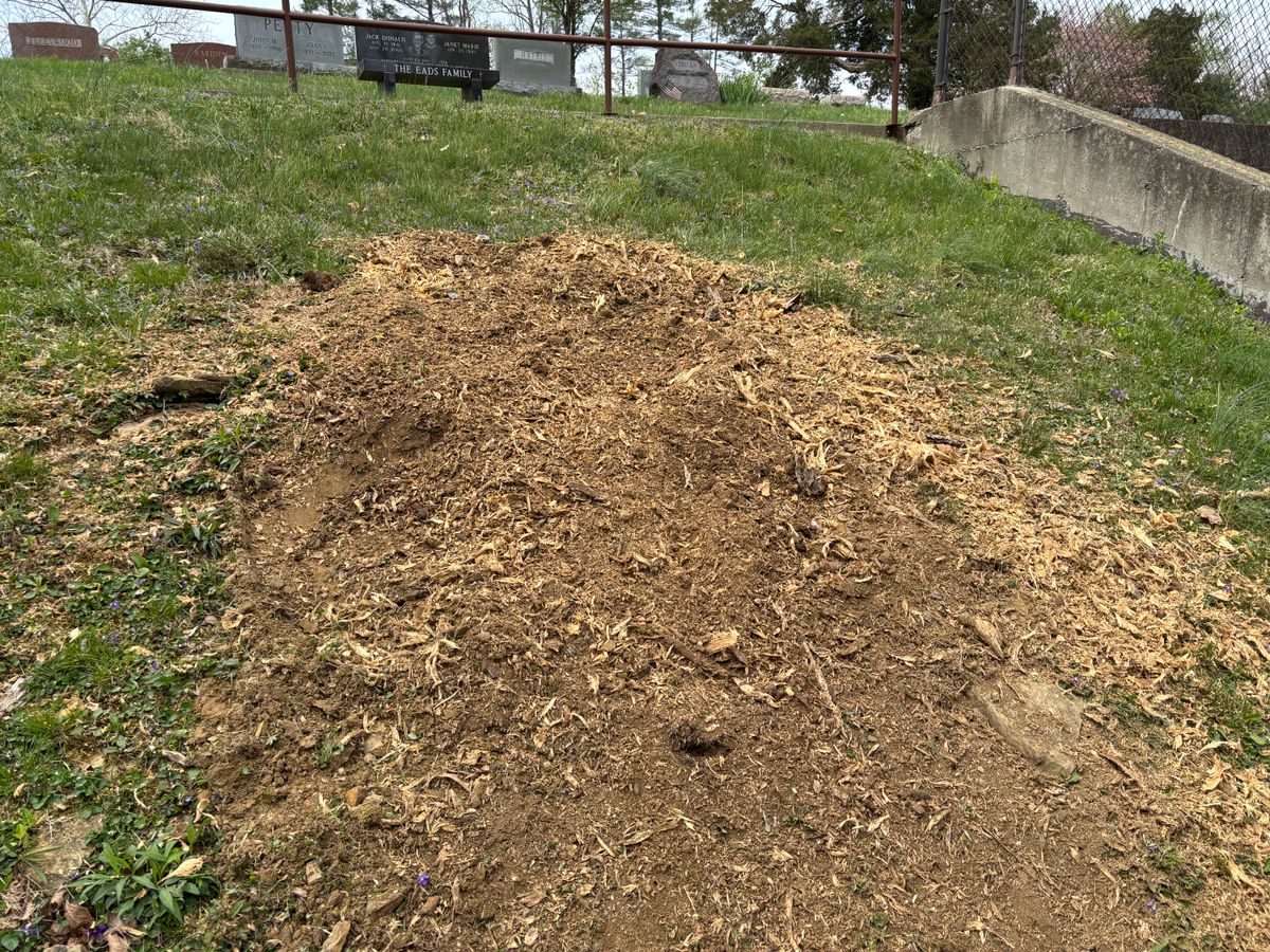 Stump Removal for Conrad's Stump Removal in Columbus, IN