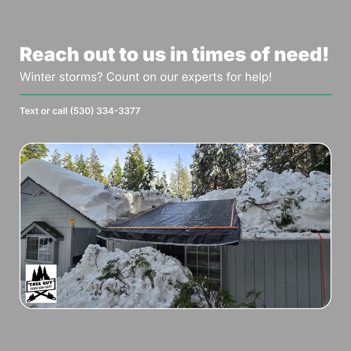 Storm Damage for George Staddan's Professional Tree Care in Placerville, CA