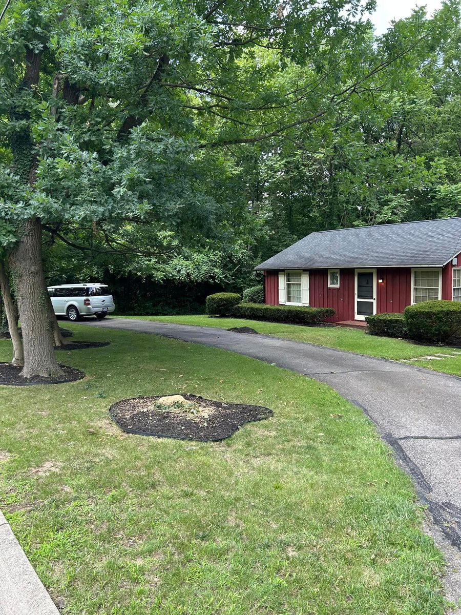 Stump Removal for Dig-It Tree Company in , 