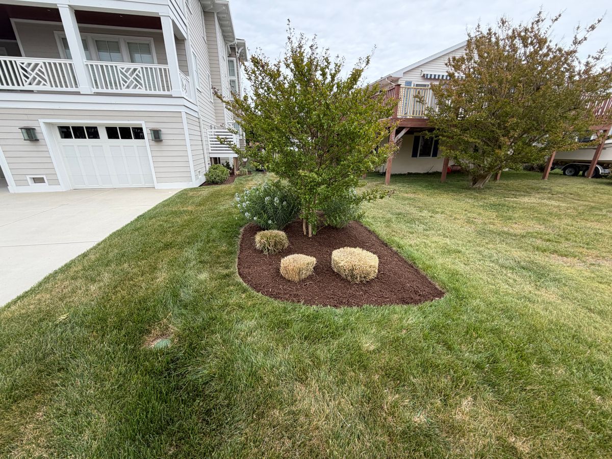 Trimming for Lawn pro services in Georgetown, DE