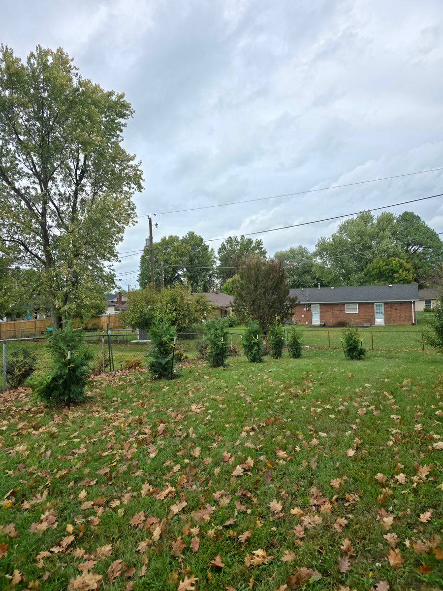 Landscaping for Nicholson Lawn Care in Jeffersonville, IN