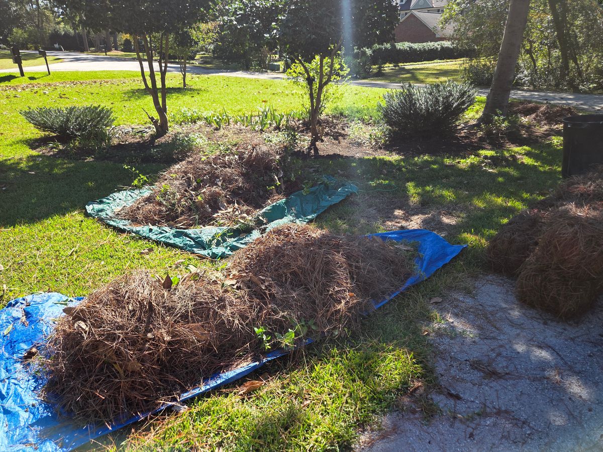 Mulch Flower Bed Maintenance for Just Mow and Go Lawn Service, LLC in New Bern, NC
