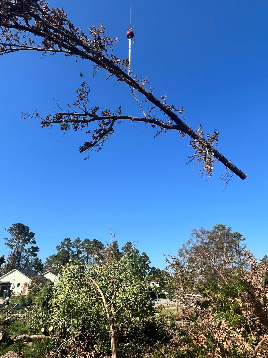 Emergency Tree Service for Bulldawg Disaster Response in Atlanta, GA