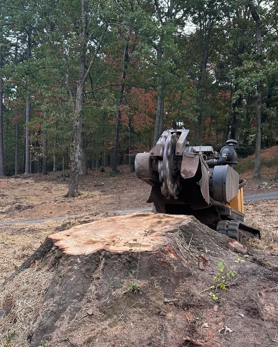 Stump Removal for J&K Stump Grinding in Detroit, MI