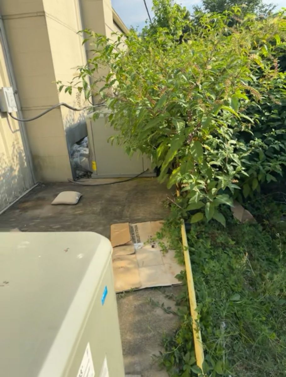 Debris Removal for Robbie's Lawn & Landscape in Richmond, VA