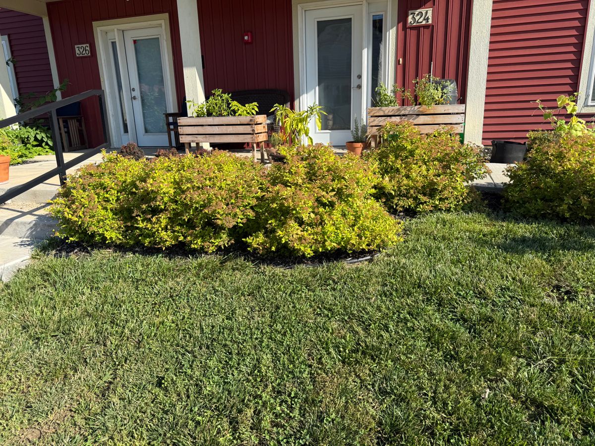 Shrub Trimming for Perfect Lawn Solutions LLC in Marshall, WI