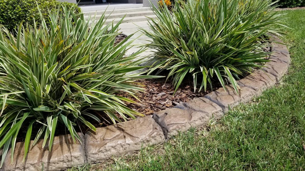 Custom Curbing for Lawn Caring Guys in Cape Coral, FL