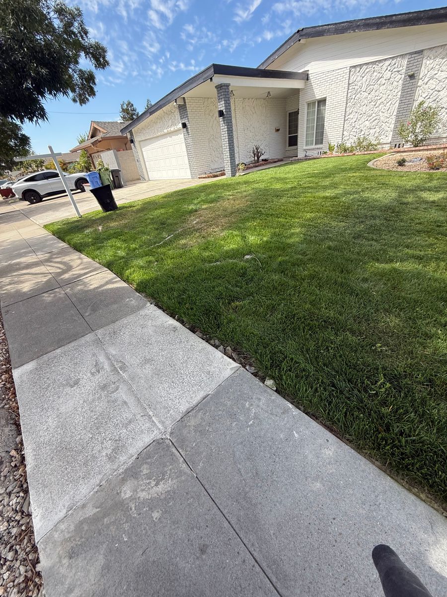 Shrub Trimming for CBA Landscaping in Hayward, CA