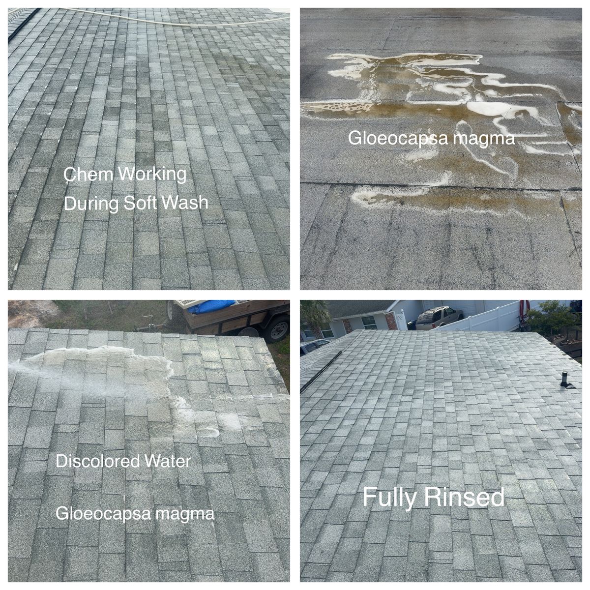 Roof Cleaning and power wash for My Soft Wash Guys in Venice, FL