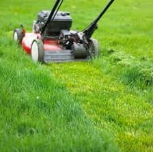 Lawn and Garden Equipment Repair for Busted Knuckles Equipment Repair and Reel Grinding in Centerville, MD