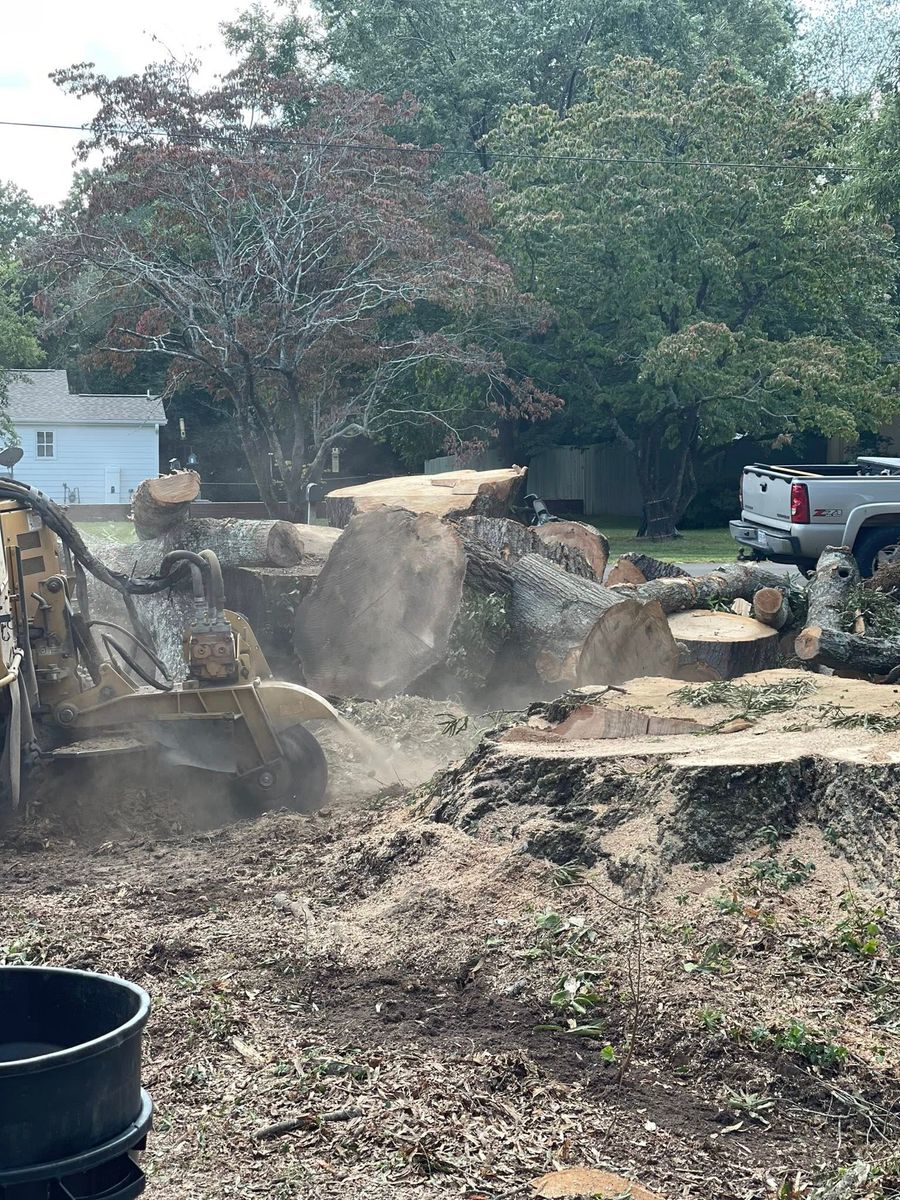 Stump Removal for J&J Tree Services in Raleigh, NC