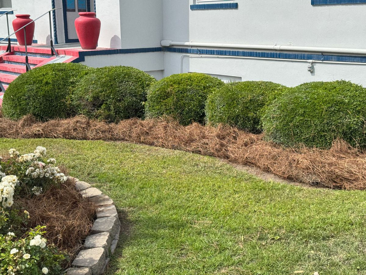 Turf, Ornamental, and Irrigation for Camalett Services in Perry, GA