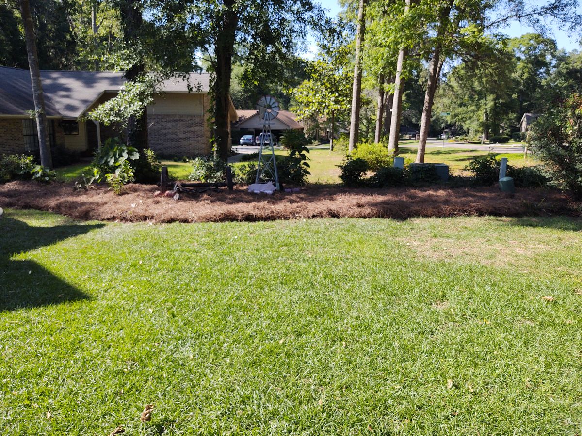 Lawn maintenance for Down & Dirty Lawn Svc  in Tallahassee, FL