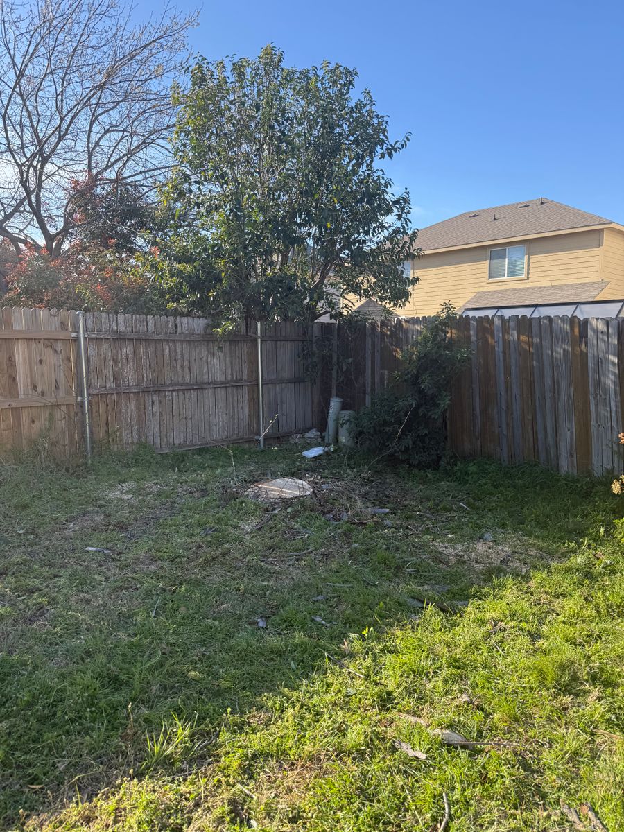 Stump Grinding for Blu-J Tree Care in Arlington, TX