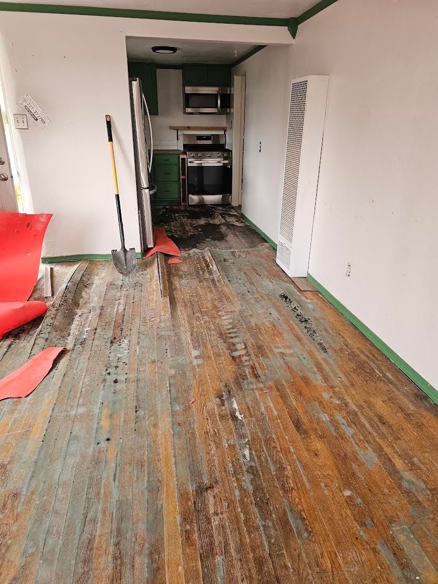 Mold Remediation for Turbotime Construction in Farmington, NM