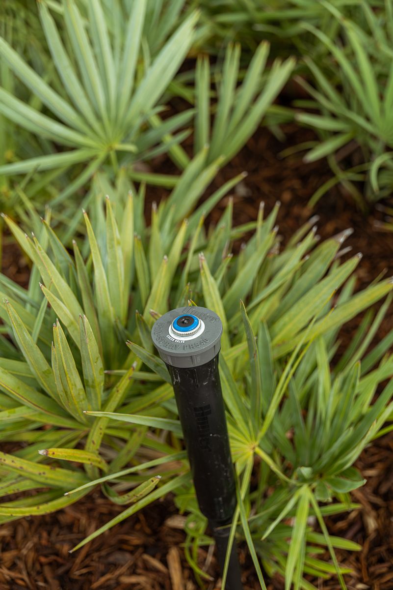 Irrigation for Arazoza Brothers Corporation in Miami, FL