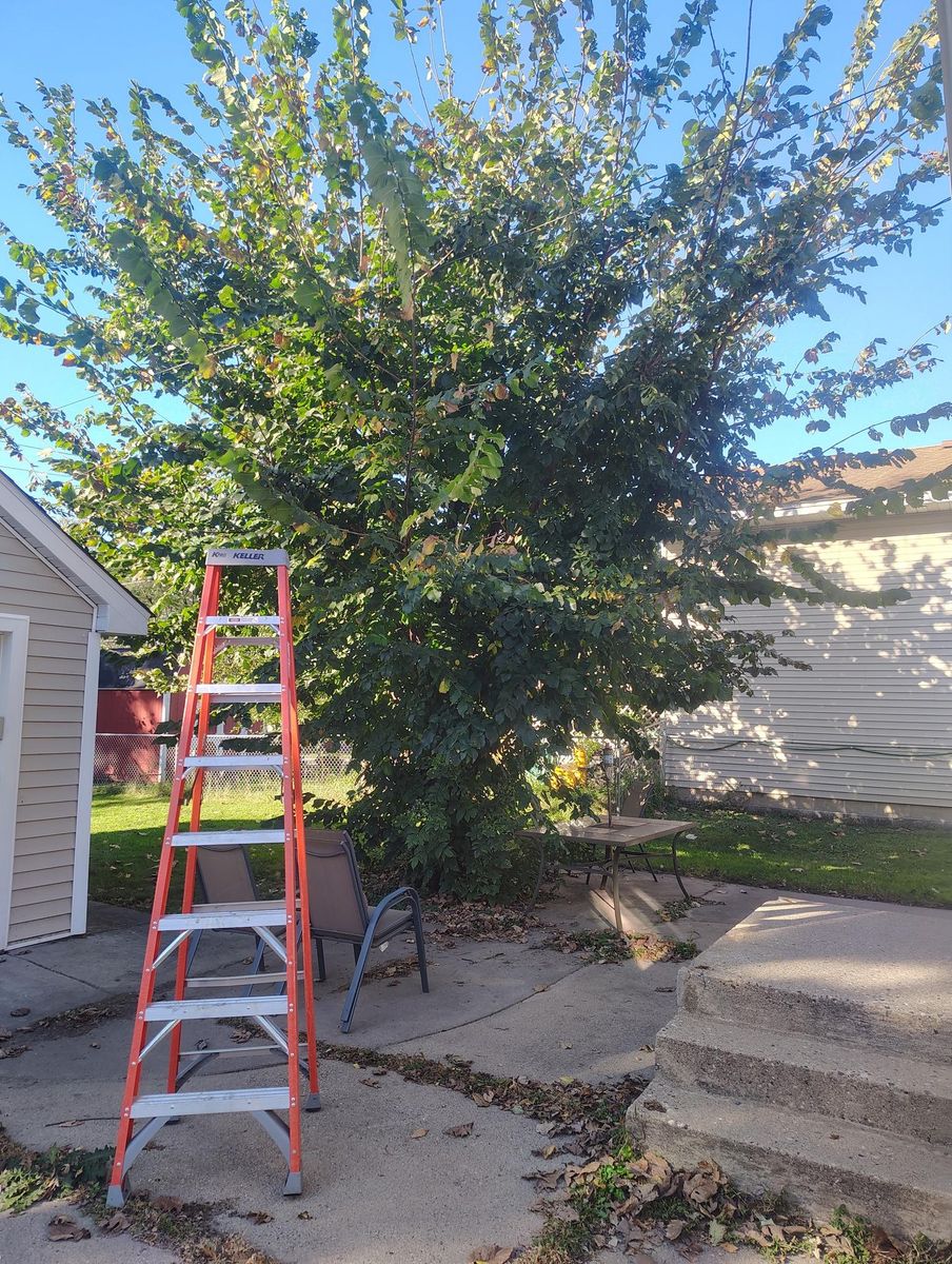 Tree Removal for Big River lawn Care services and snow LLC in Wausau, WI