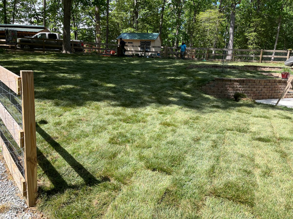 Sod Delivery and Installation for Atlas Home Services in Mechanicsville, VA
