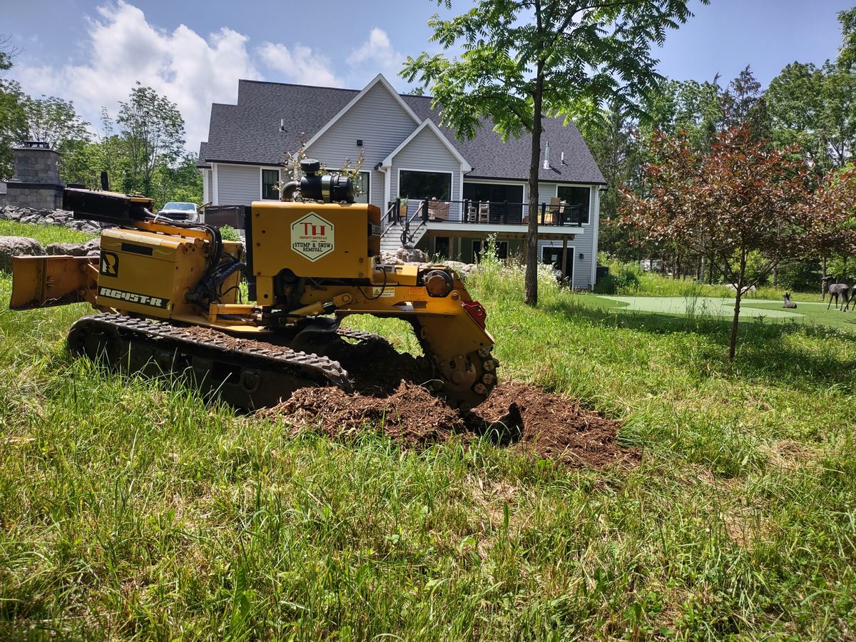 Residential / Commercial Tree Services for TH Property Service, LLC in Manlius, NY