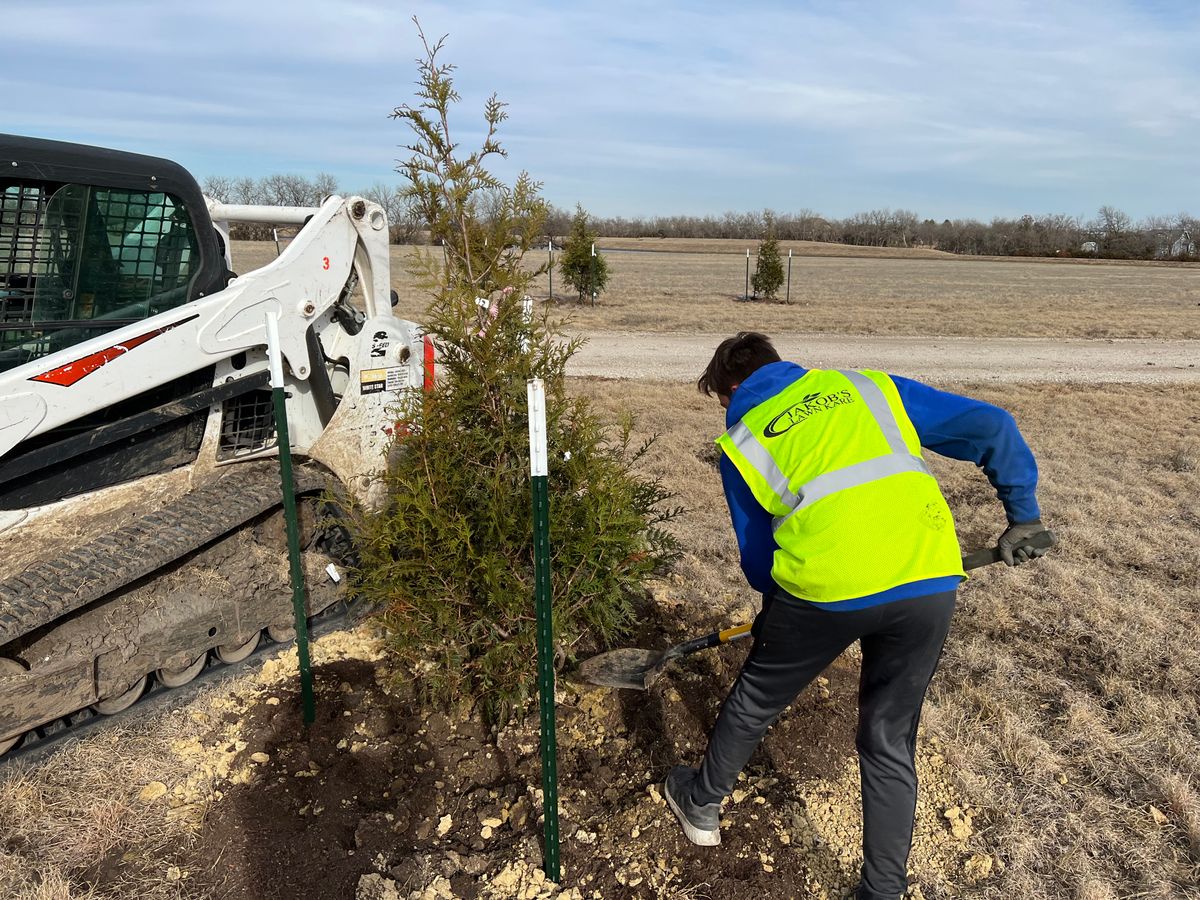 Tree Planting for Jakob’s Lawn Kare in Wichita, KS