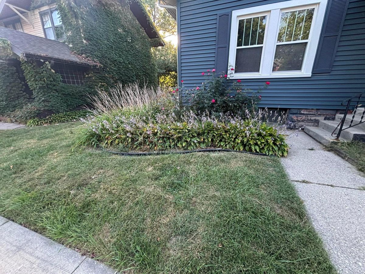 Shrub Trimming for Cena Landscaping in Rockford, IL
