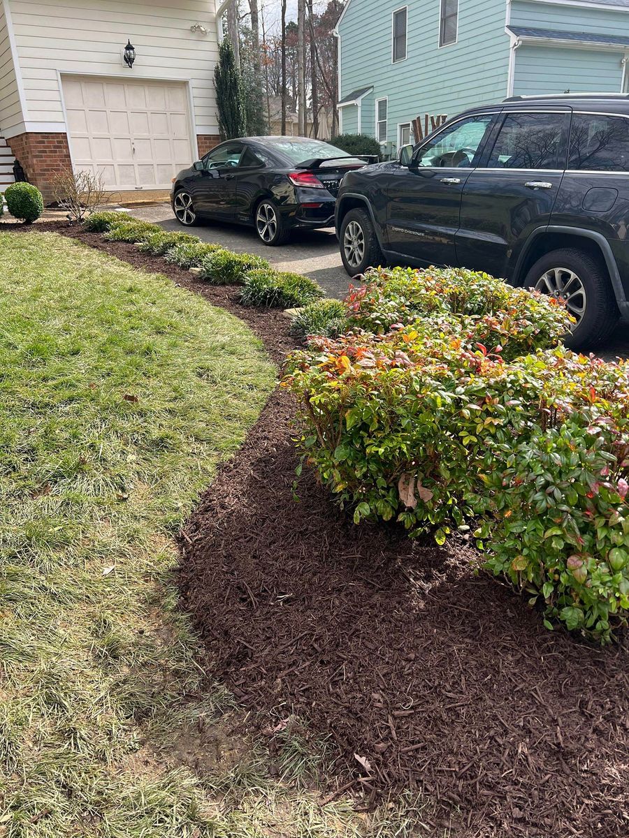 Shrub Trimming for Woody's Tree and Landscaping in Fredericksburg, VA