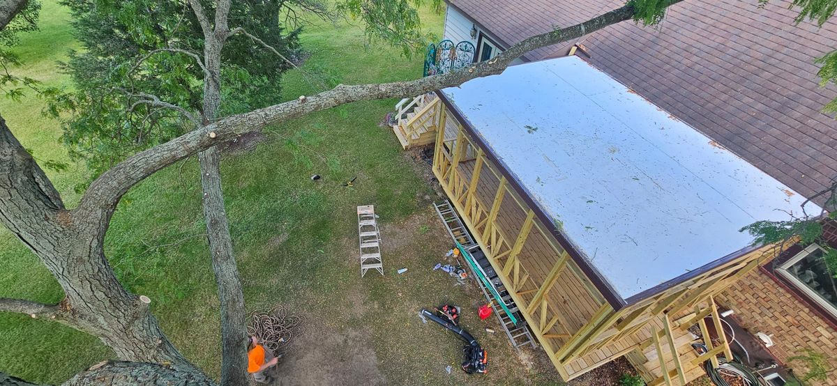 Tree Removal for Highborn Tree Service in Wheatfield, IN